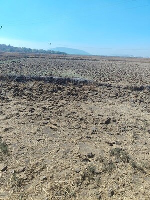 Plot Area in  Plot at Vindhane – for Sale