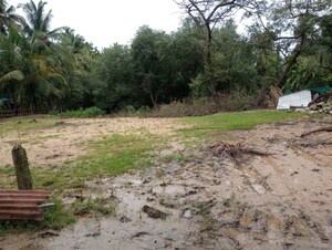  Plot For Sale in Kodibag