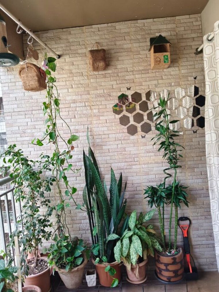 Balcony, mantra-29-gold-coast 3 Bedroom 1040 Sq.Ft. Apartment In Tingre Nagar Pune 10165927