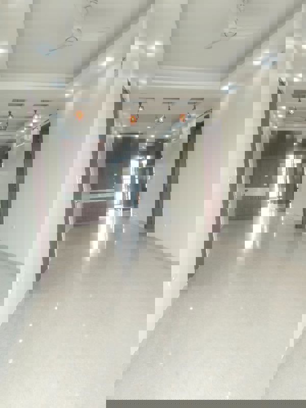 4 BHK + Pooja Room,Servant Room,Study Room 2500 Sq.Ft. Builder Floor in DLF Green Avenue