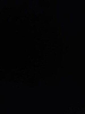 2 BHK Apartment For Rent in Godrej Green Vistas, Mahalunge