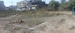 1000 Sq.Ft. Plot in Ramnagar