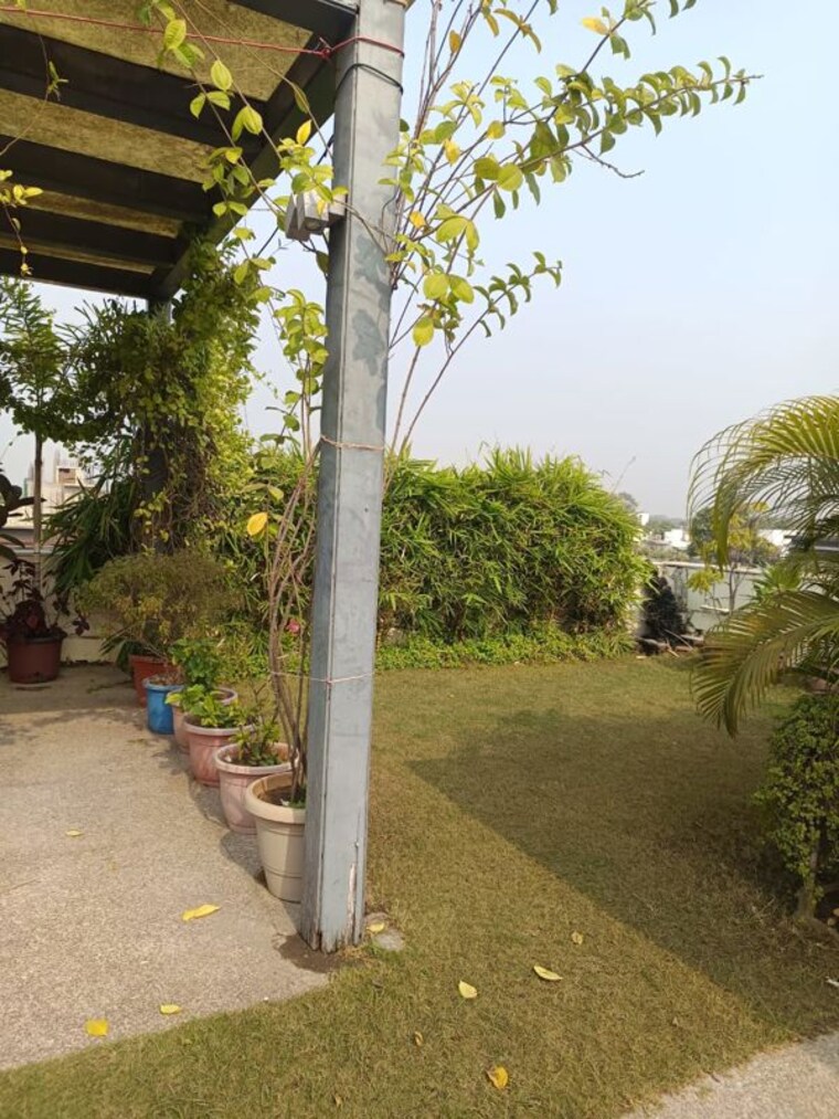 Garden, panchsheel park 4 Bedroom 500 Sq.Yd. Builder Floor In Panchsheel Park Delhi 10166300