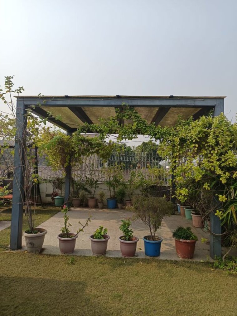 Garden, panchsheel park 4 Bedroom 500 Sq.Yd. Builder Floor In Panchsheel Park Delhi 10166300