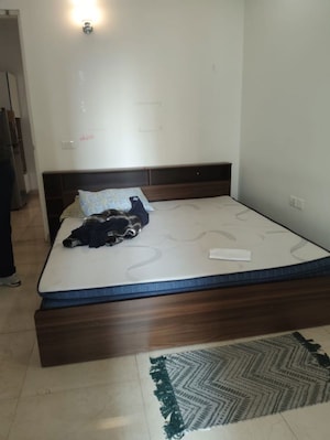 Bedroom in 2 BHK Apartment at AVS Orchard, Sector 77 – for Rent