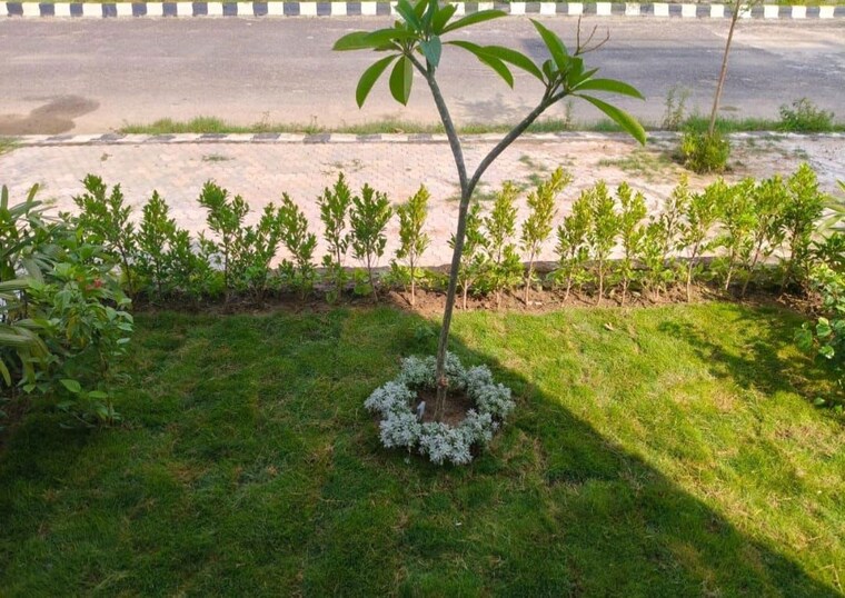 Garden, sector 7 wave city 2 Bedroom 194 Sq.Yd. Villa In Sector 7 Wave City Ghaziabad 10166570