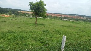 Plot Area in  Plot at Banashankari – for Sale