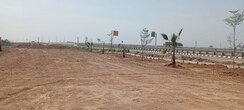 Plot For Sale in Kurali
