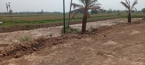 Plot Area in  Plot at Kurali – for Sale