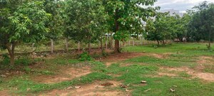  Plot For Sale in Pedathadivada