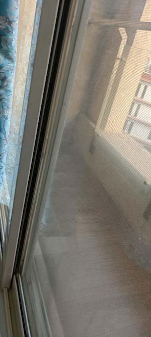 Balcony in 3 BHK Apartment at Dosti Ambrosia, Wadala East – for Sale