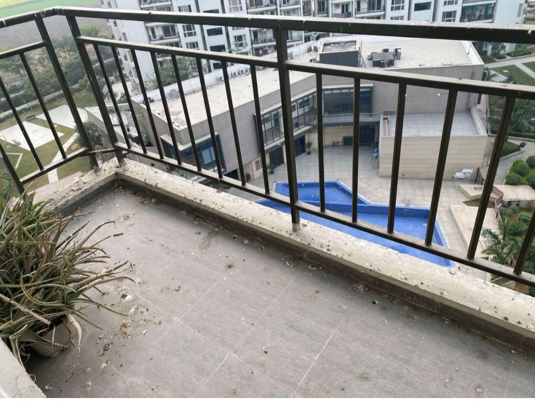 2 BHK Apartment For Sale in Umang Winter Hills