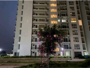 3 BHK Apartment For Sale in Umang Winter Hills, Sector 77