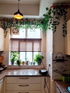 3 BHK Apartment For Rent in Tulip Violet