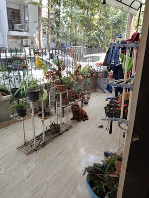 4 BHK Apartment – Exterior View View at Vasant Kunj - for Rent