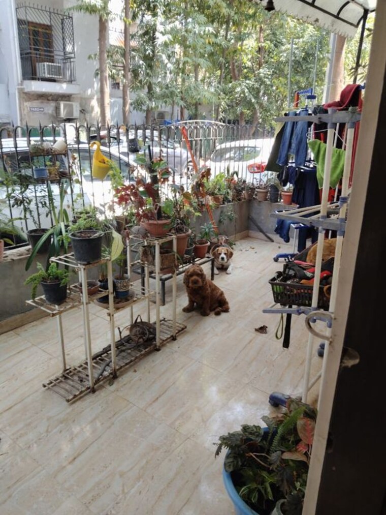 Exterior View, vasant kunj 4 Bedroom 2000 Sq.Ft. Apartment In Vasant Kunj Delhi 10167028