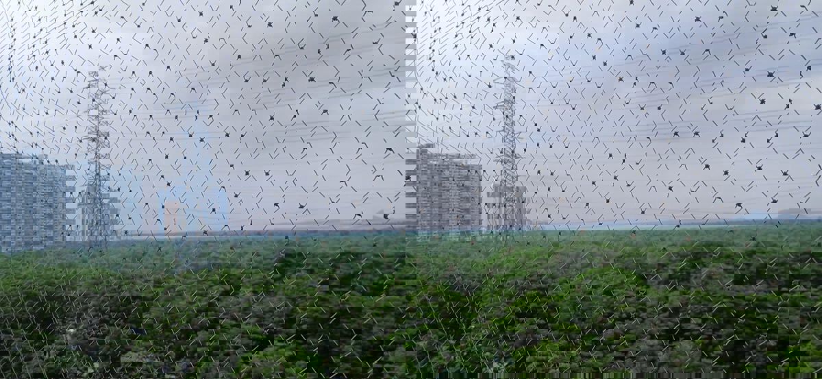 3 BHK Apartment For Sale in Mahavir Amrut