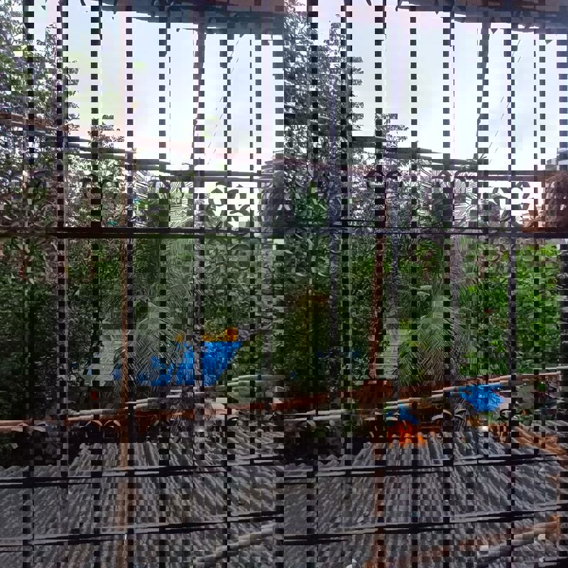 2 BHK Apartment For Sale in Olive Complex