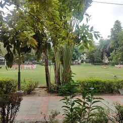 Plot For Sale in JMS The Nation
