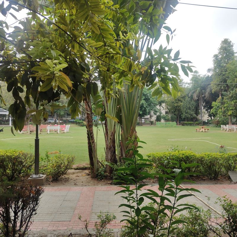 Plot For Sale in JMS The Nation