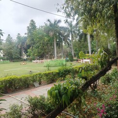 Plot For Sale in JMS The Nation