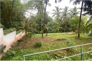Plot Area in  Plot at Puzhakkal – for Sale