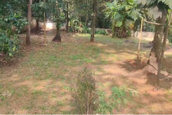 Plot For Sale in Puzhakkal