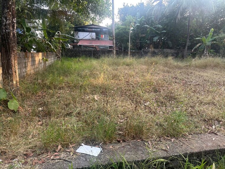 undefined, mundoor  4138 Sq.Ft. Plot In Mundoor Thrissur 10167234