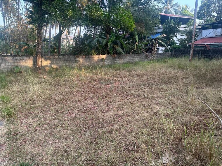 undefined, mundoor  4138 Sq.Ft. Plot In Mundoor Thrissur 10167234