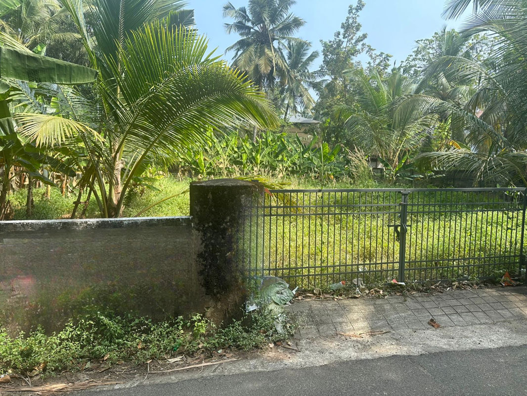 Plot For Sale in Kuttumuku