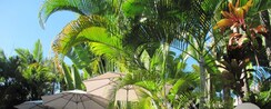 2 BHK + Pooja Room Apartment For Sale in Himalaya Tanishq