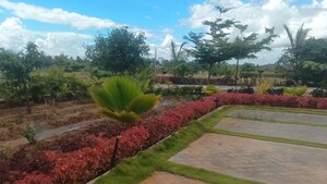 Plot Area in  Plot at Jigani – for Sale