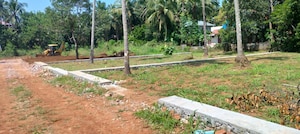 Plot Area in  Plot at Mannuthy – for Sale