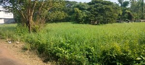 Plot Area in  Plot at Chembukkavu – for Sale