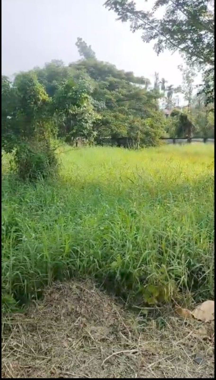 undefined, chembukkavu  8712 Sq.Ft. Plot In Chembukkavu Thrissur 10167347