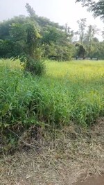 8712 Sq.Ft. Plot in Chembukkavu