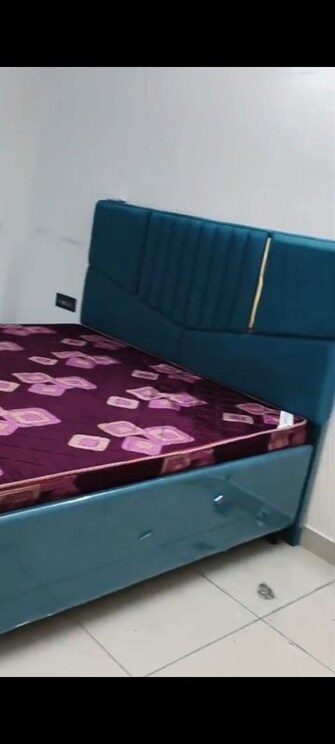 2 BHK + Extra Room Apartment For Rent in The Address Mullanpur in North Mullanpur, Chandigarh