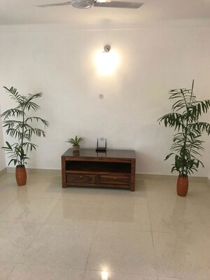  1 BHK Apartment at Green Park – for Rent