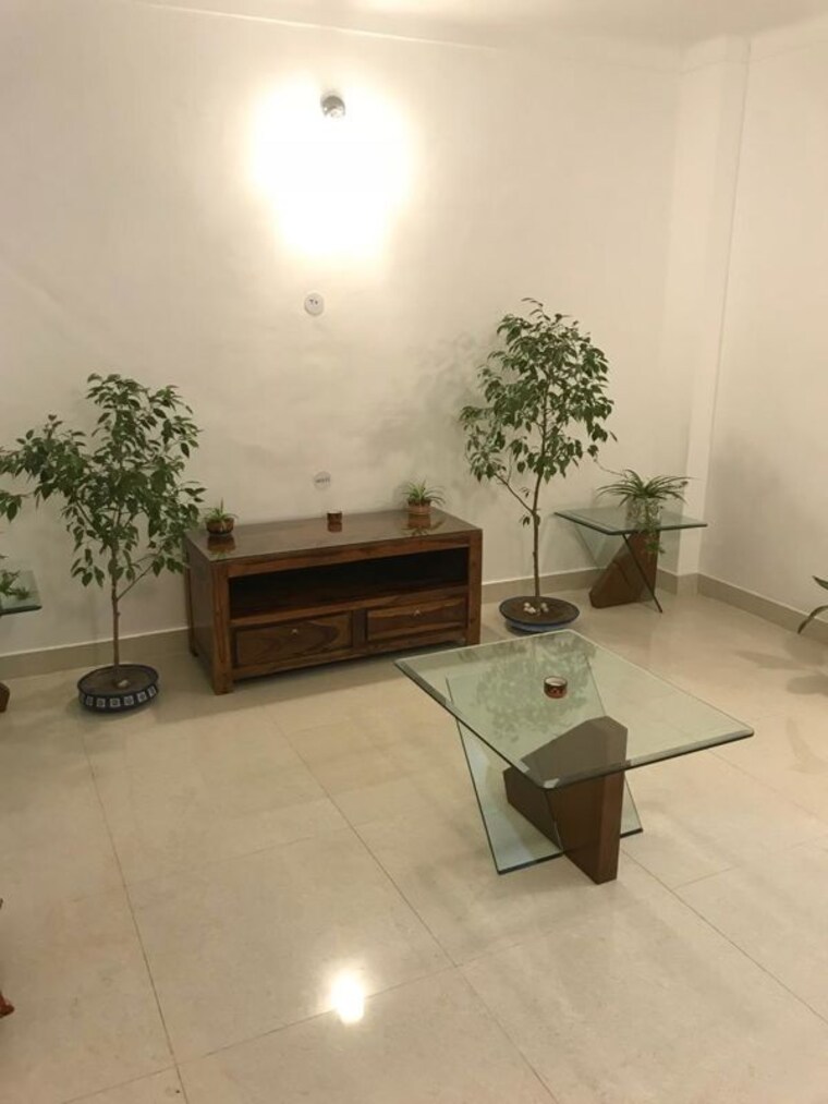 Room, green park 1 Bedroom 500 Sq.Ft. Apartment In Green Park Delhi 10167560