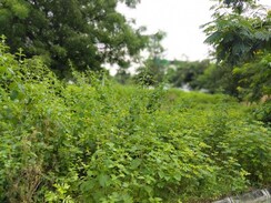 Plot For Sale in Arka Enclave Alwal