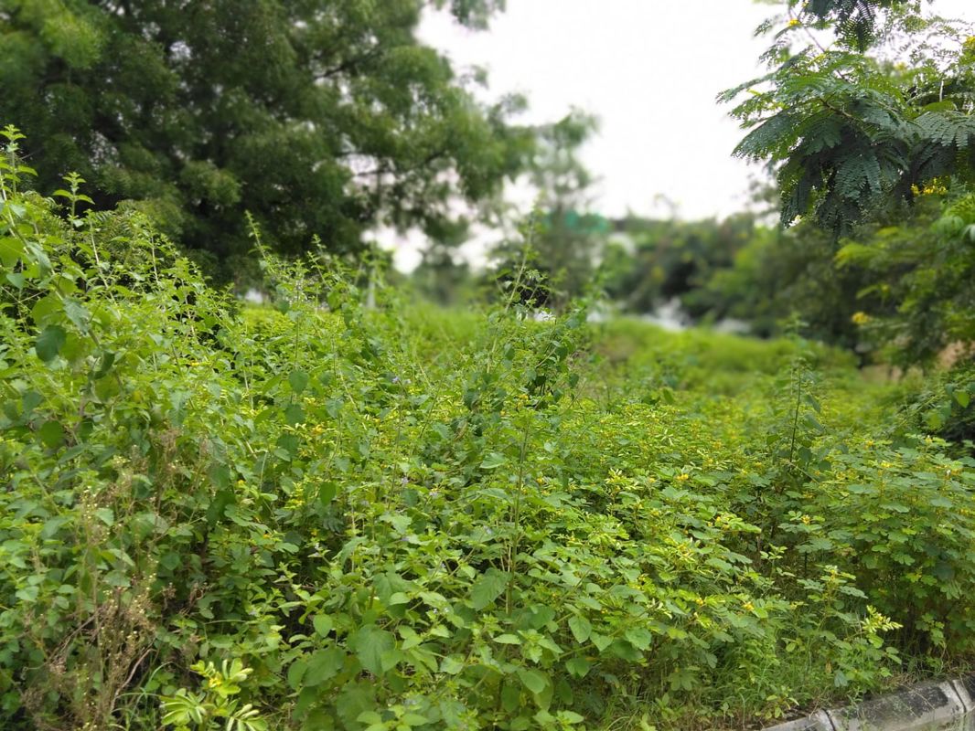 Plot For Sale in Arka Enclave Alwal