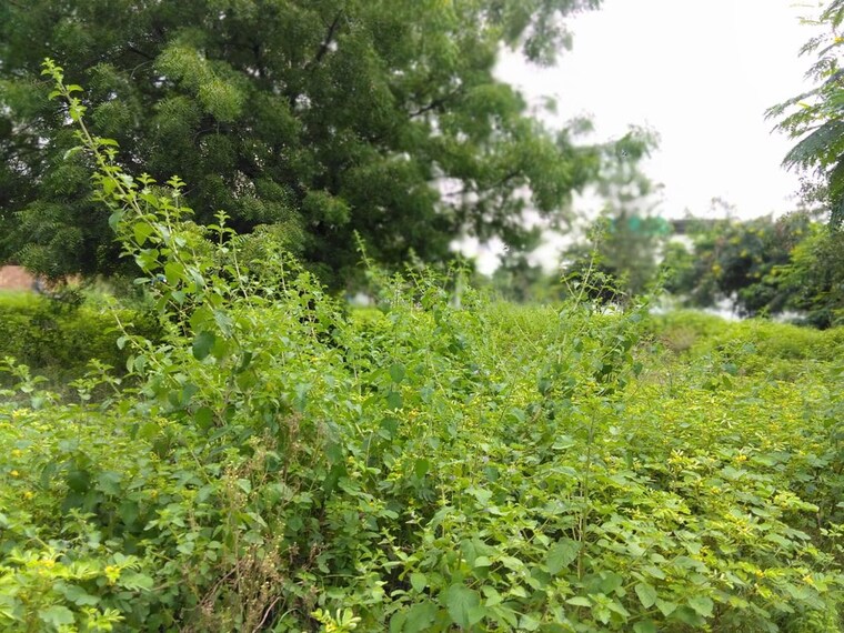 Garden, arka-enclave-alwal  300 Sq.Yd. Plot In Alwal Hyderabad 10167718
