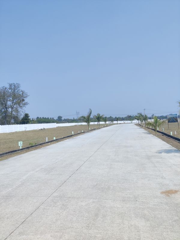 Plot For Sale in Kolar