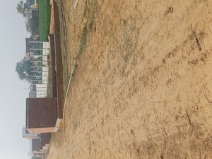 Plot Area in  Plot at Kulesara – for Sale