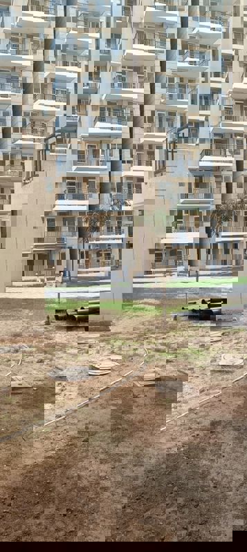 3 BHK 797 Sq.Ft. Apartment in Landmark The Homes 81