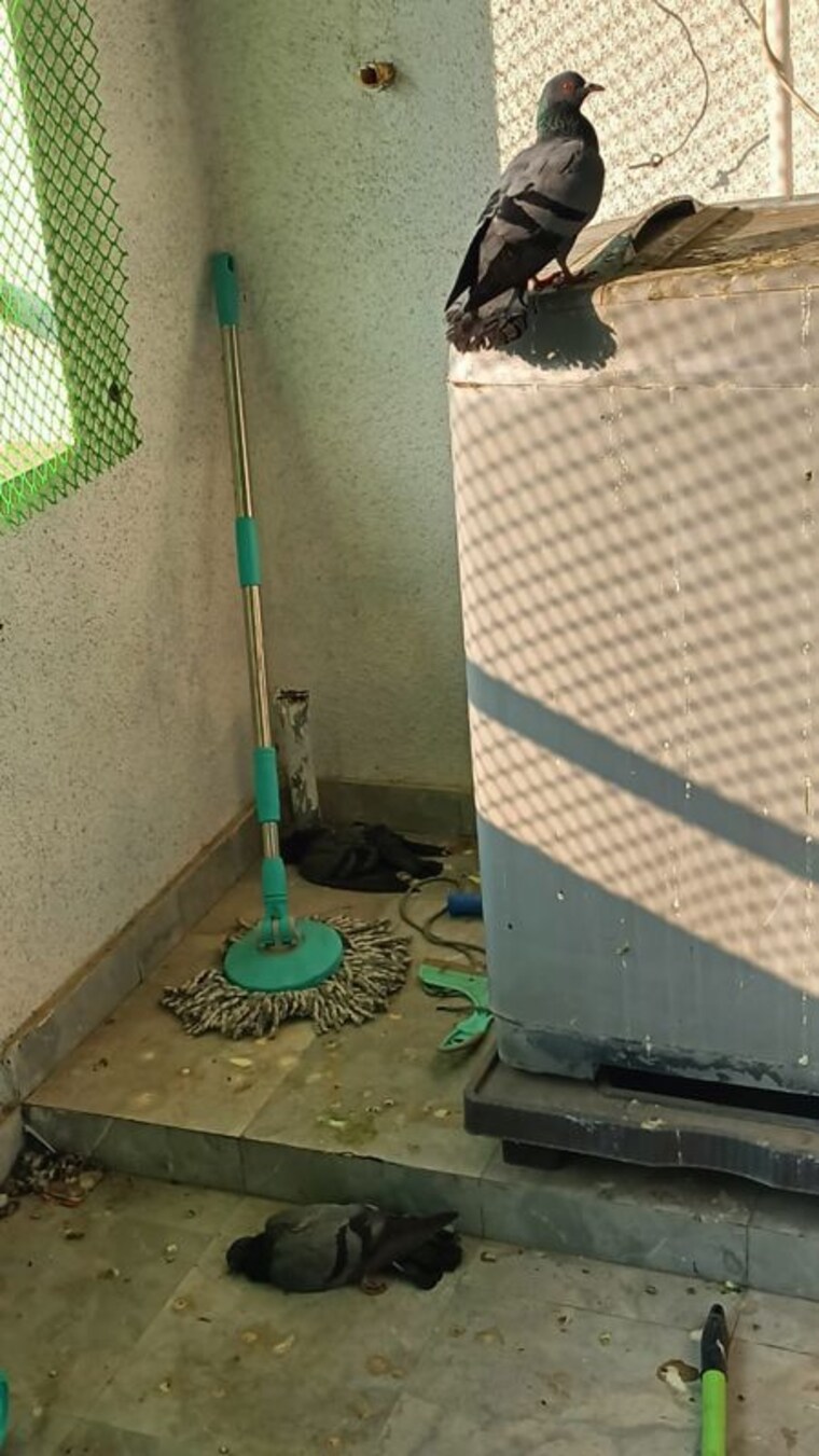 Attached Bathroom, vedant-kingston-aura 2 Bedroom 1130 Sq.Ft. Apartment In Handewadi Pune 10167950