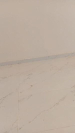 Room in 3 BHK Apartment at Narsingi – for Rent