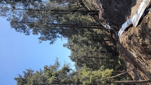  Plot – Garden View at Kufri - for Sale