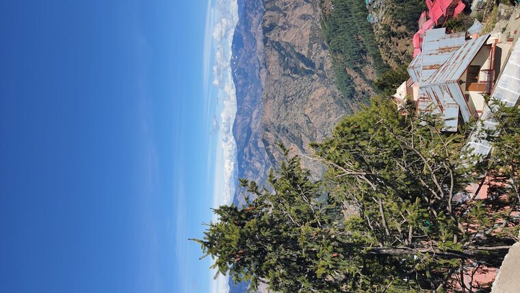 Garden, kufri  4000 Sq.Yd. Plot In Kufri Shimla 10168136