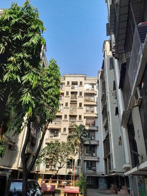 1 BHK Apartment For Rent in Lata Apartments, Borivali East